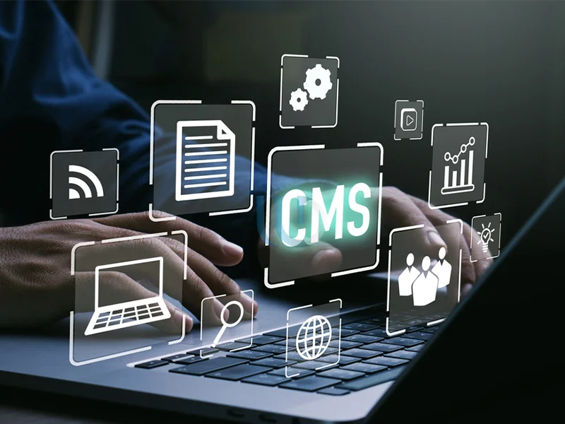 قابلیت سفارشی سازی سیستم مدیریت محتوای CMS 