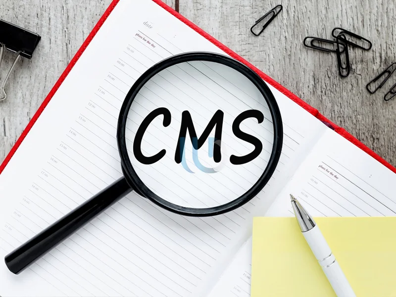سیستم مدیریت محتوای CMS وردپرس