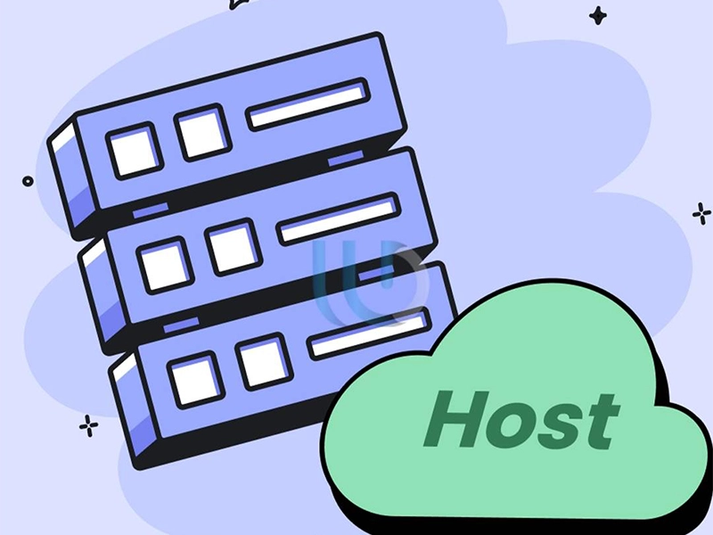 هاست host به چه معناست؟